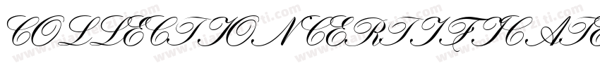 COLLECTION CERTIFICATE字体转换